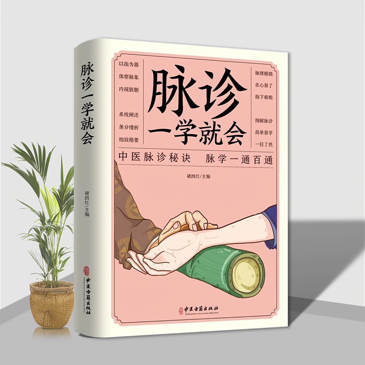 TEMU Lernen Sie Pulsdiagnose in einem Schritt, Vollständige Zungendiagnose, Gesichtsdiagnose Manuelle Diagnose, Grundlagen der Theorie, Verbessern Sie Ihre körperliche Gesundheit – Chinesische Version